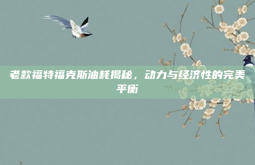 老款福特福克斯油耗揭秘,动力与经济性的完美平衡