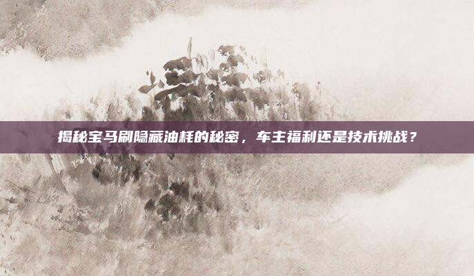 揭秘宝马刷隐藏油耗的秘密,车主福利还是技术挑战?