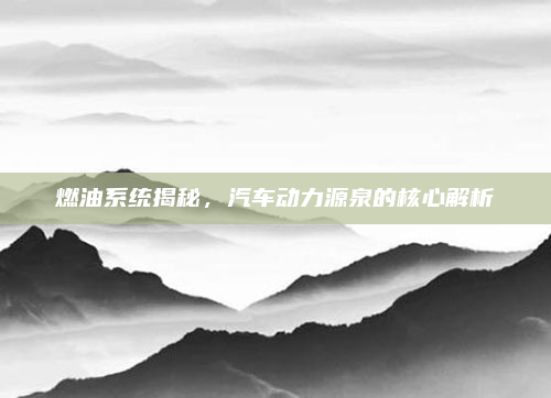 燃油系统揭秘,汽车动力源泉的核心解析