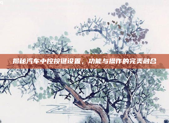 揭秘汽车中控按键设置,功能与操作的完美融合