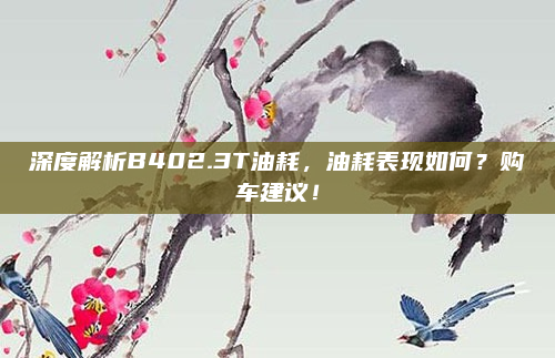 深度解析B402.3T油耗,油耗表现如何?购车建议!