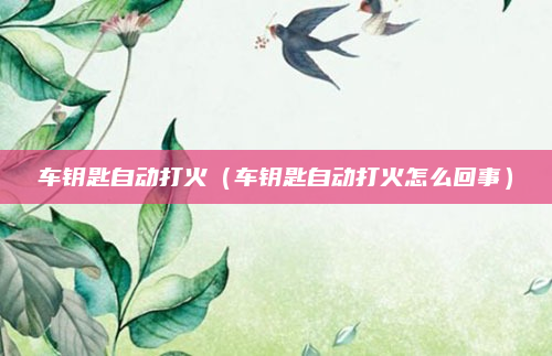 车钥匙自动打火（车钥匙自动打火怎么回事）