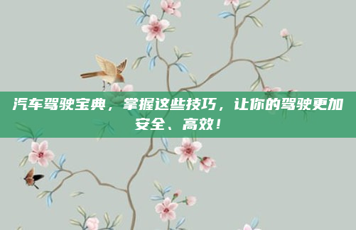 汽车驾驶宝典,掌握这些技巧,让你的驾驶更加安全、高效!
