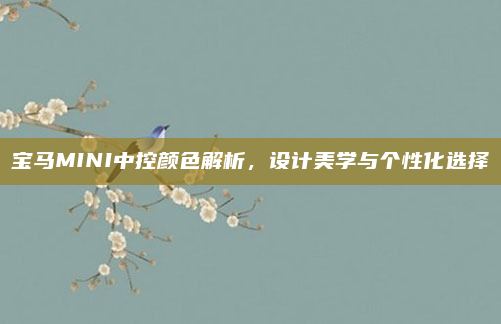 宝马MINI中控颜色解析,设计美学与个性化选择