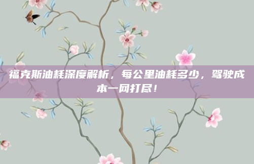 福克斯油耗深度解析,每公里油耗多少,驾驶成本一网打尽!