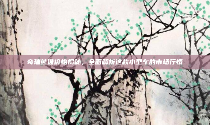 奇瑞熊猫价格揭秘,全面解析这款小型车的市场行情