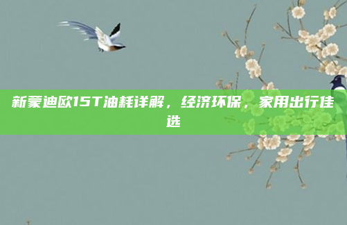 新蒙迪欧15T油耗详解,经济环保,家用出行佳选