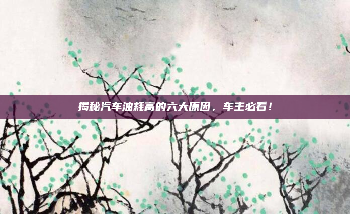 揭秘汽车油耗高的六大原因,车主必看!