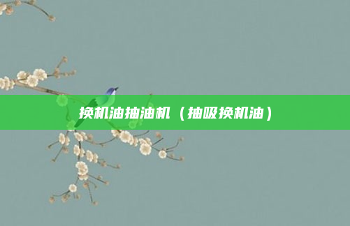 换机油抽油机（抽吸换机油）