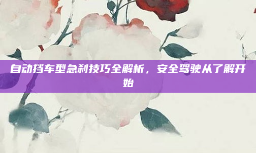 自动挡车型急刹技巧全解析,安全驾驶从了解开始