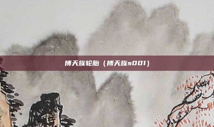 博天族轮胎（搏天族s001）