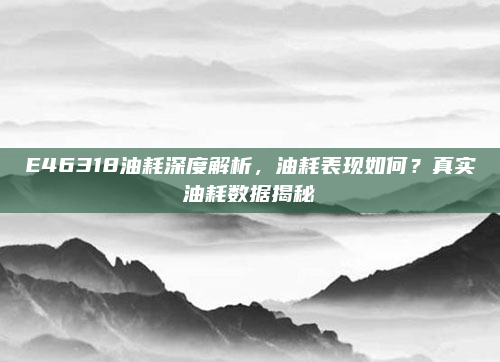 E46318油耗深度解析,油耗表现如何?真实油耗数据揭秘