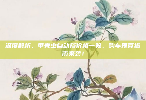 深度解析,甲壳虫自动挡价格一览,购车预算指南来袭!