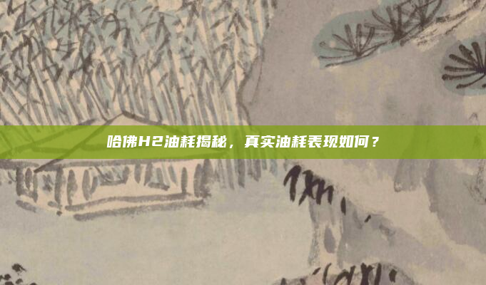 哈佛H2油耗揭秘，真实油耗表现如何？