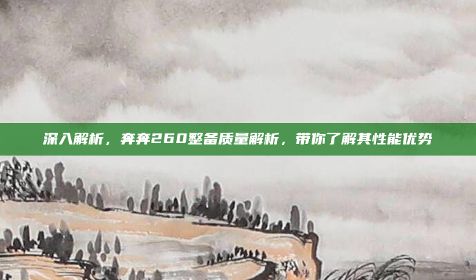 深入解析，奔奔260整备质量解析，带你了解其性能优势