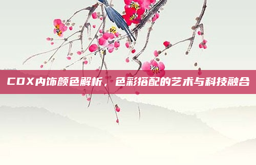 CDX内饰颜色解析，色彩搭配的艺术与科技融合