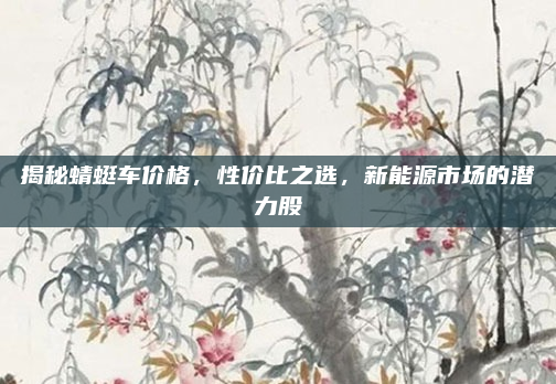 揭秘蜻蜓车价格，性价比之选，新能源市场的潜力股