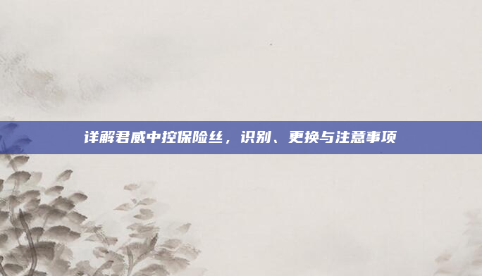 详解君威中控保险丝，识别、更换与注意事项