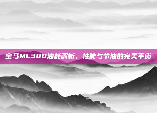 宝马ML300油耗解析，性能与节油的完美平衡