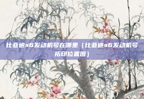 比亚迪s6发动机号在哪里（比亚迪s6发动机号拓印位置图）