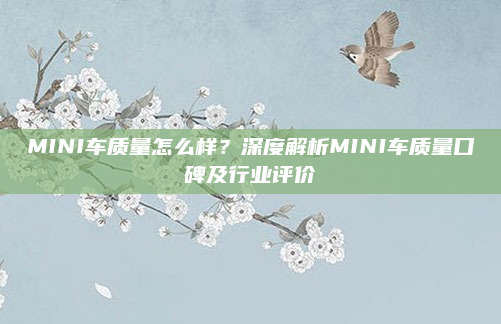 MINI车质量怎么样？深度解析MINI车质量口碑及行业评价