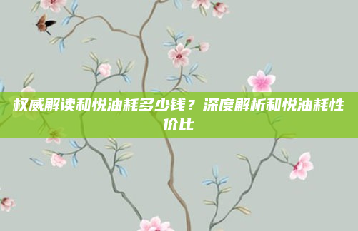 权威解读和悦油耗多少钱？深度解析和悦油耗性价比