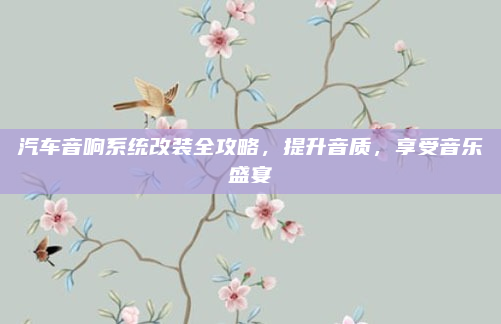 汽车音响系统改装全攻略，提升音质，享受音乐盛宴