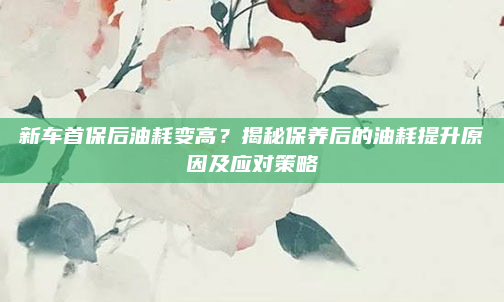 新车首保后油耗变高？揭秘保养后的油耗提升原因及应对策略