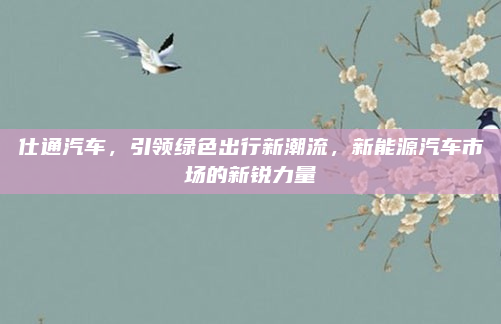 仕通汽车,引领绿色出行新潮流,新能源汽车市场的新锐力量