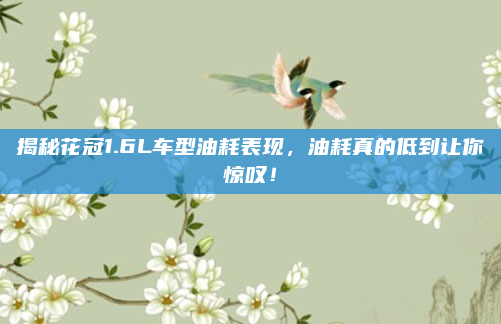 揭秘花冠1.6L车型油耗表现,油耗真的低到让你惊叹!
