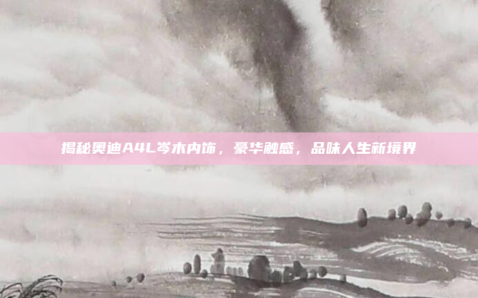 揭秘奥迪A4L岑木内饰，豪华触感，品味人生新境界