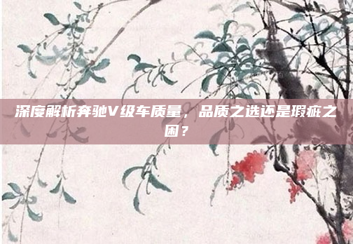 深度解析奔驰V级车质量，品质之选还是瑕疵之困？