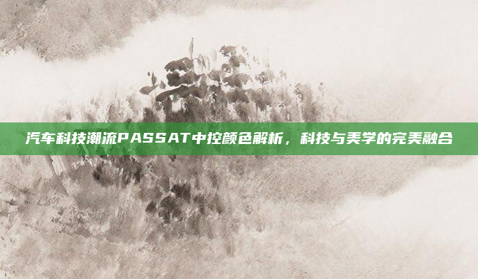 汽车科技潮流PASSAT中控颜色解析，科技与美学的完美融合
