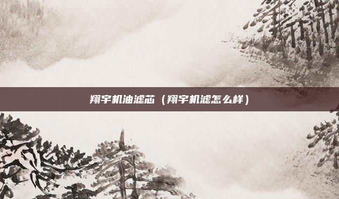 翔宇机油滤芯（翔宇机滤怎么样）