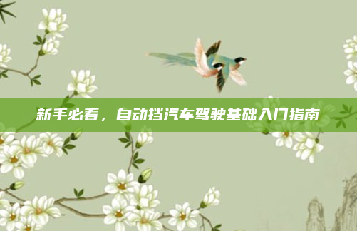 新手必看，自动挡汽车驾驶基础入门指南
