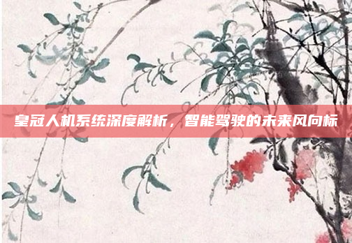 皇冠人机系统深度解析，智能驾驶的未来风向标
