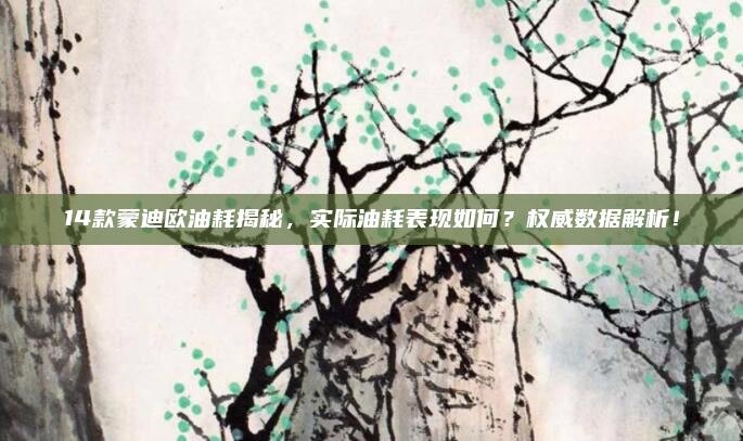 14款蒙迪欧油耗揭秘，实际油耗表现如何？权威数据解析！