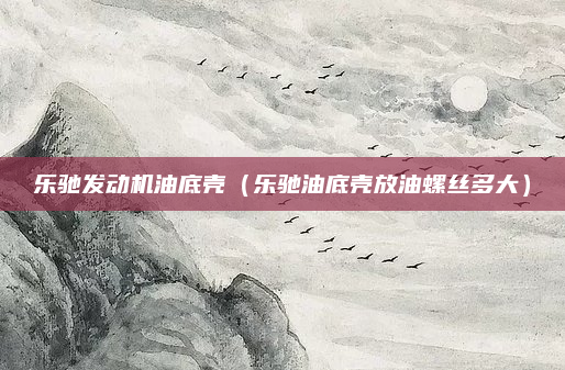 乐驰发动机油底壳（乐驰油底壳放油螺丝多大）