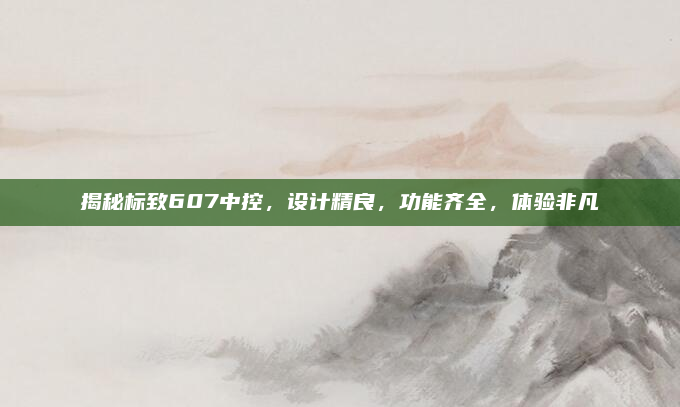揭秘标致607中控，设计精良，功能齐全，体验非凡