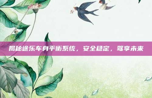 揭秘途乐车身平衡系统,安全稳定,驾享未来