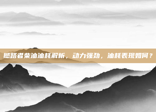 撼路者柴油油耗解析，动力强劲，油耗表现如何？