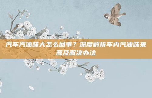 汽车汽油味大怎么回事？深度解析车内汽油味来源及解决办法