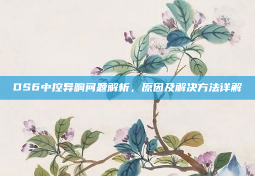 DS6中控异响问题解析,原因及解决方法详解
