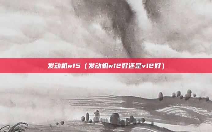 发动机w15（发动机w12好还是v12好）