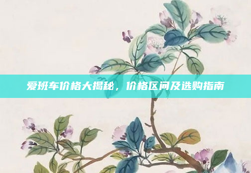 爱班车价格大揭秘，价格区间及选购指南