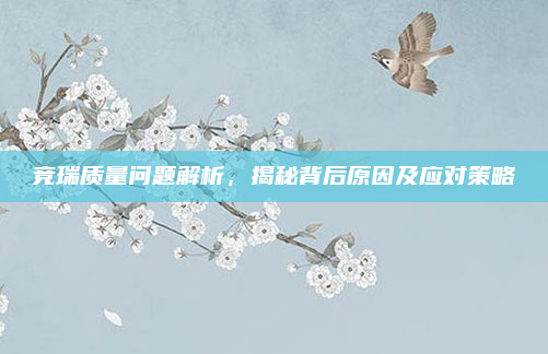 竞瑞质量问题解析,揭秘背后原因及应对策略