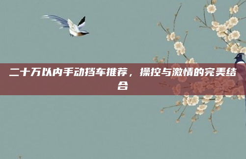 二十万以内手动挡车推荐，操控与激情的完美结合