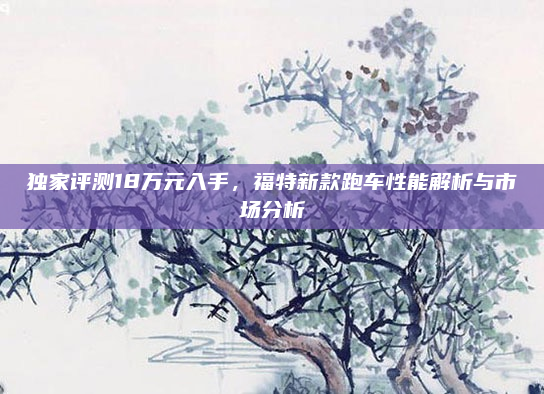 独家评测18万元入手,福特新款跑车性能解析与市场分析