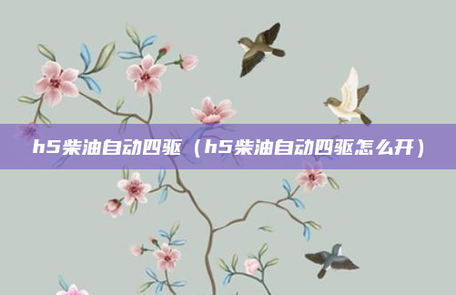 h5柴油自动四驱（h5柴油自动四驱怎么开）