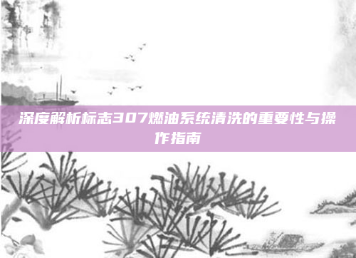 深度解析标志307燃油系统清洗的重要性与操作指南